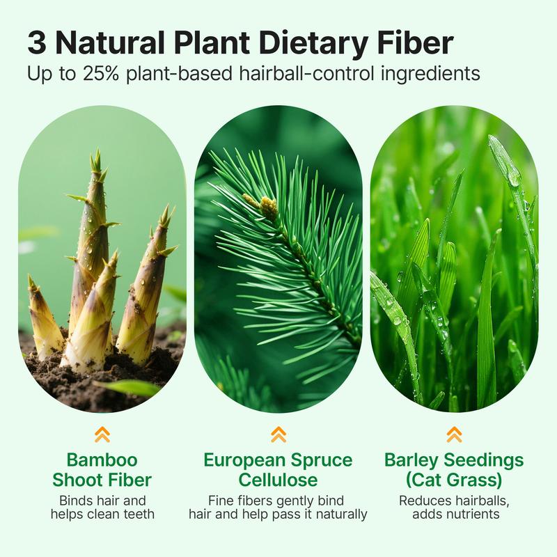 Cat Grass Freeze Dried Treats